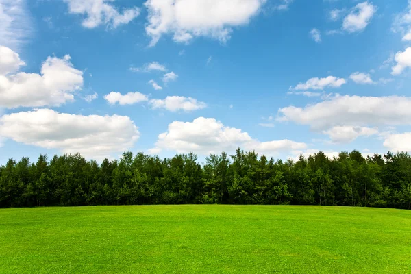 stock image Nature, landscape