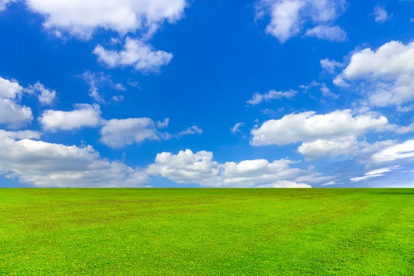Campo sobre un fondo del cielo azul —  Fotos de Stock