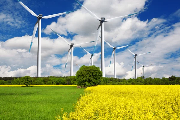 Ökologischer Wind — Stockfoto