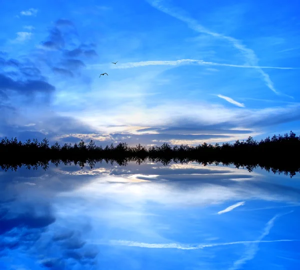 Nature in blue — Stock Photo, Image