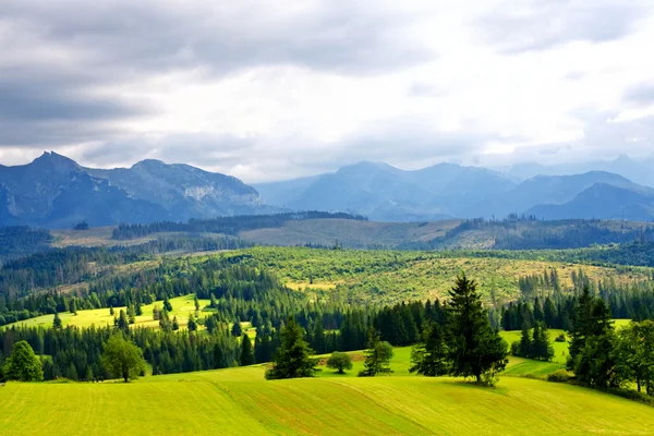 Зеленая долина в высоких горах — стоковое фото