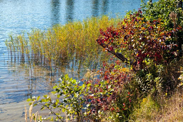 Осенняя вода — стоковое фото