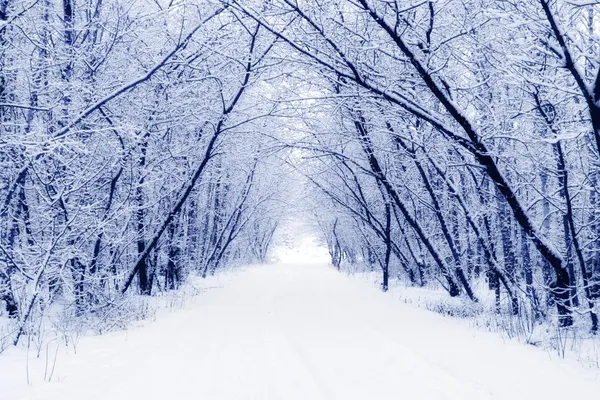 6 726 Winter Scenes Stock Photos Free Royalty Free Winter Scenes Images Depositphotos