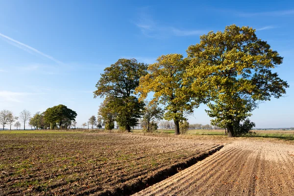 Autumn agricultural landscape — Stock Photo, Image