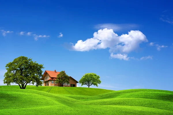 Huis en groen landschap — Stockfoto