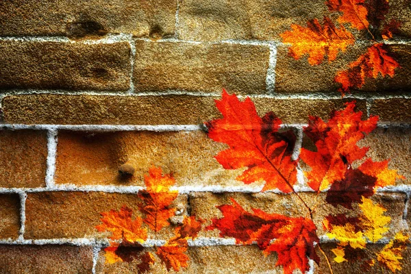 Autumn leaves on the wall — Stock Photo, Image