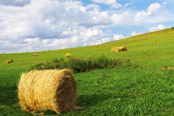 Golden bales in the countryside — Stock Photo, Image