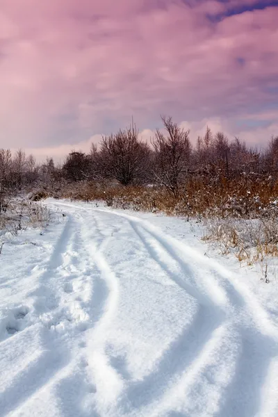 Cenário de inverno — Fotografia de Stock