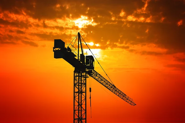 Crane at sunset — Stock Photo, Image