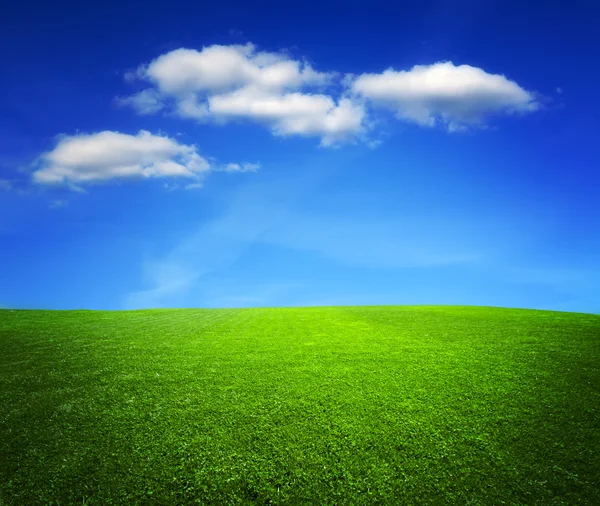 Campo verde e céu azul — Fotografia de Stock