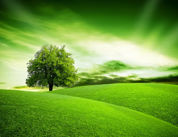 Eko grön planet — Stockfoto