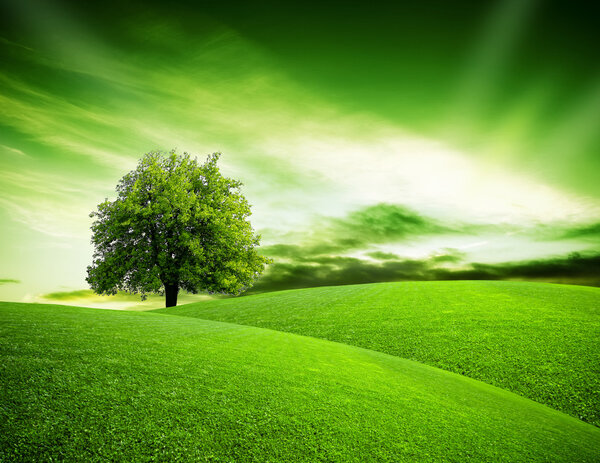 Эко-зеленая планета