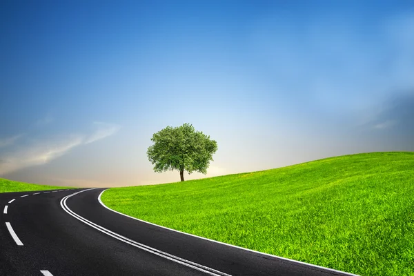 Road and green horizon — Stock Photo, Image