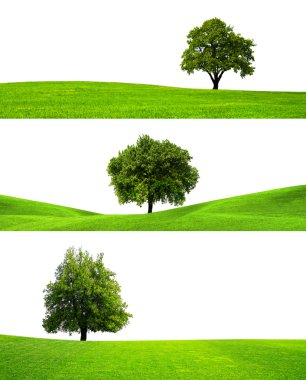 Three trees clipart