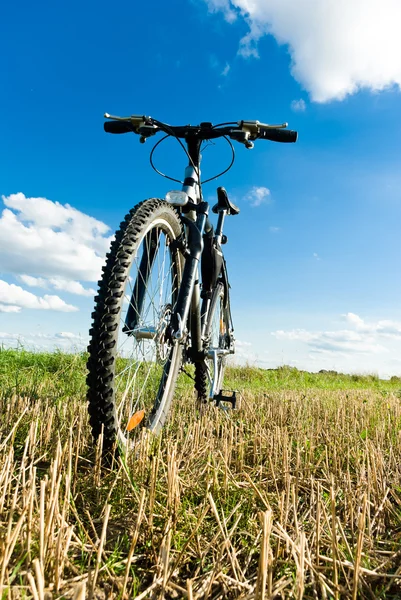 Kerékpár — Stock Fotó