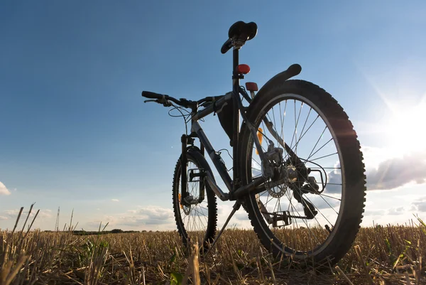 Bike Royalty Free Stock Images