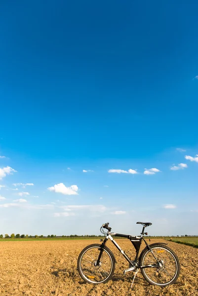 Bicicleta —  Fotos de Stock