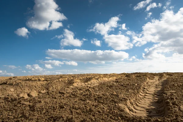 stock image Agricultural field