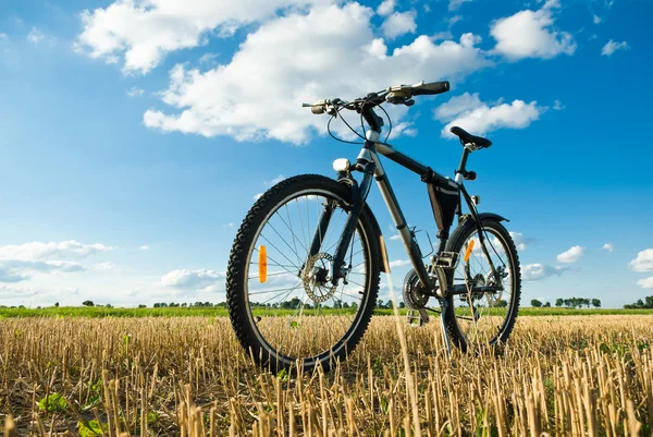 Bike Royalty Free Stock Images