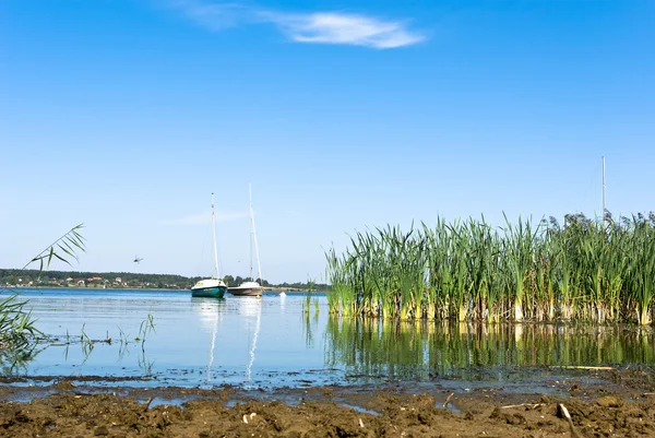 stock image Lake