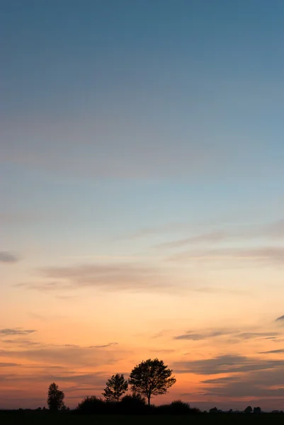 stock image Clouds