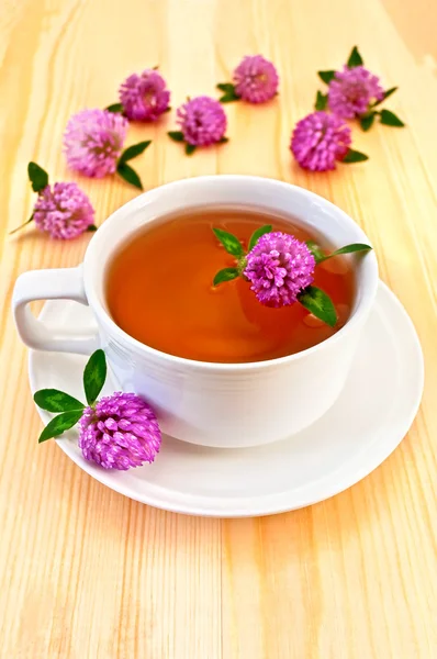Yonca ile bitkisel çay — Stok fotoğraf