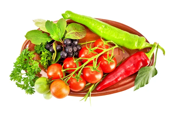 Grönsaker på en keramisk platta — Stockfoto