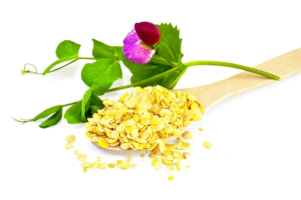 Pea flakes in a spoon with a flower — Stock Photo, Image