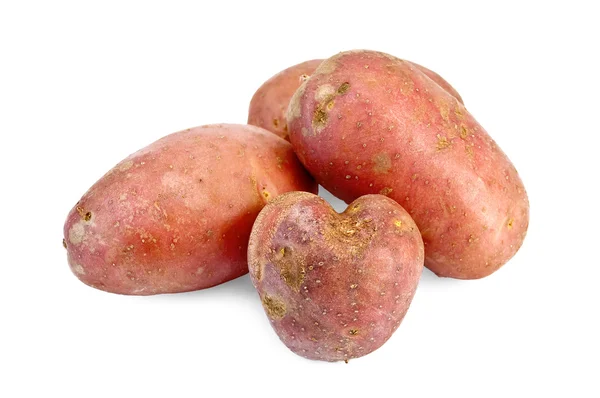 Patates kırmızı — Stok fotoğraf