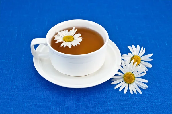 Трав'яний чай з ромашкою — стокове фото
