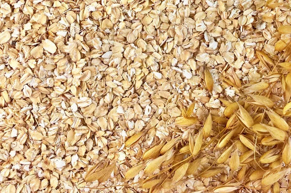 La texture de la farine d'avoine avec des tiges d'avoine à droite — Photo
