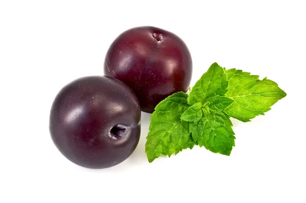Plums with a sprig of mint — Stock Photo, Image