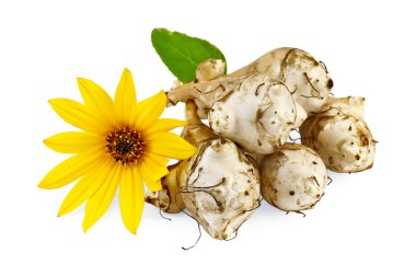 Jerusalem artichokes with yellow flower clipart