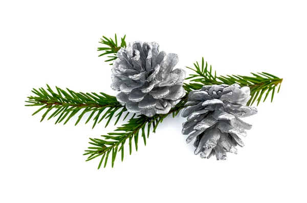 Christmas fir cones on a branch — Stock Photo, Image