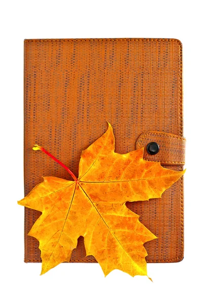 Akçaağaç yaprağı ile kapalı defter — Stok fotoğraf