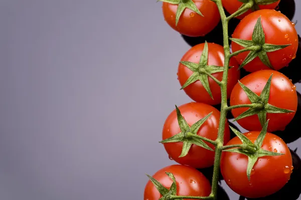 Fresh tomatoe — Stock Photo, Image