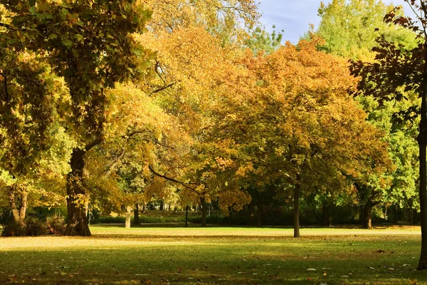 Fall in a Park — Stock Photo, Image