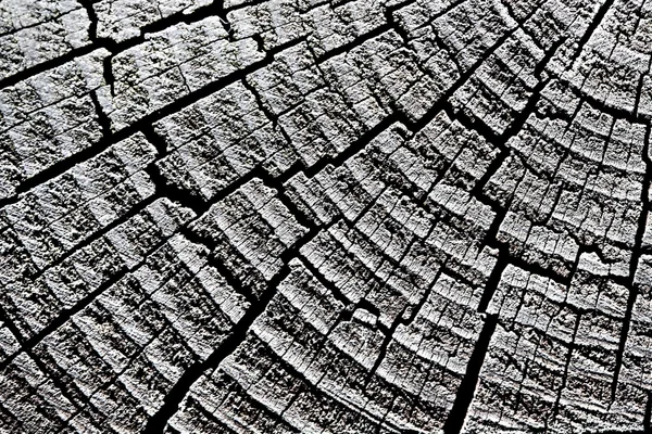 Cracked wood. — Stock Photo, Image