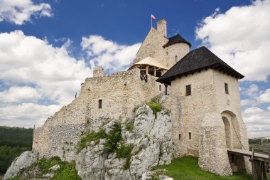 castillo gótico Polaco.