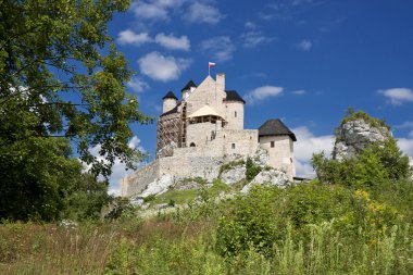 castillo gótico Polaco.