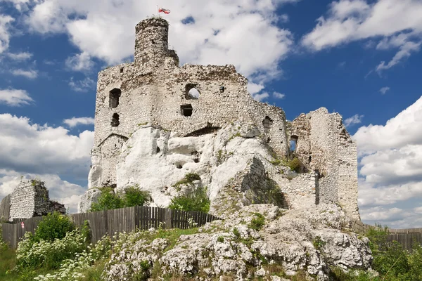 Πολωνικά γοτθικό κάστρο. — Φωτογραφία Αρχείου