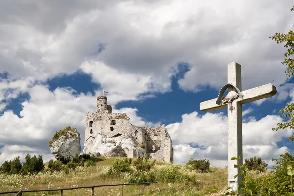 고딕 폴란드어 성. — 스톡 사진