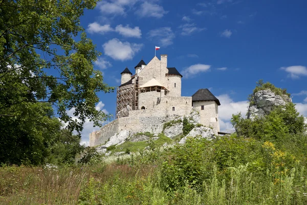 Gothic Polish castle. — Stock Photo, Image