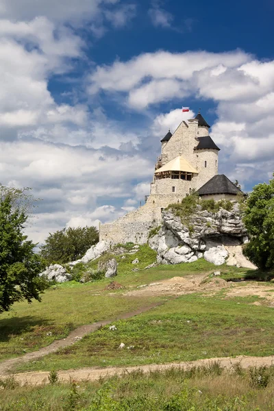 Gothic Polish castle. — Stock Photo, Image