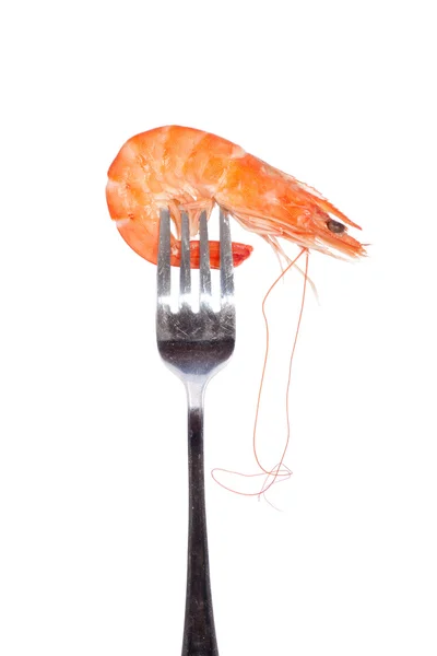 Shrimp on fork — Stock Photo, Image