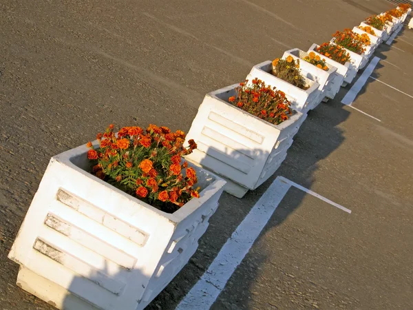 集装箱堆，环境详细信息中的花. — 图库照片