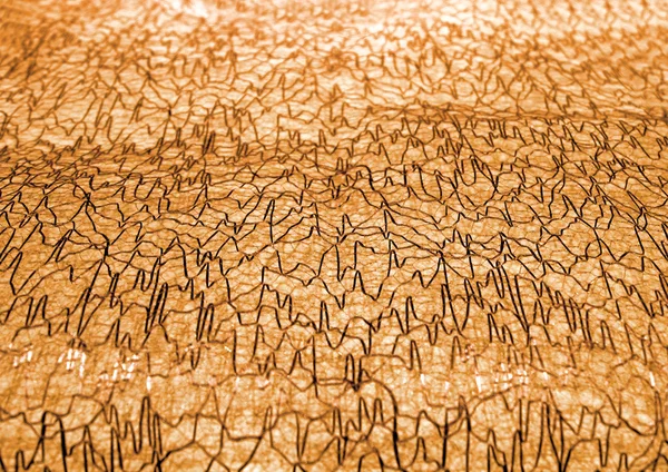 Cardiogram lijn heap op gouden oppervlakte, ecg details — Stockfoto