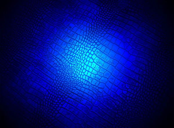 Lumière bleue abstraite sur la texture de la peau de crocodile, science . — Photo