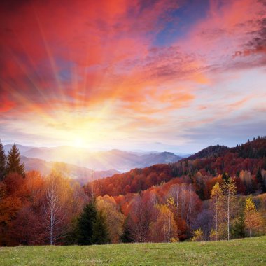 Autumn landscape in mountains clipart