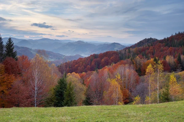 Paisaje de otoño en las montañas — Foto de Stock